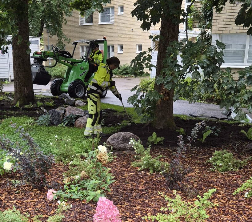 Viherkehän työntekijät kunnostavat piha-aluetta